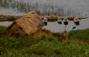Boats near Isla del Sol